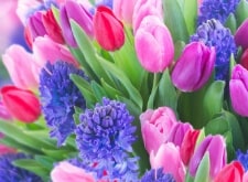 designer’s choice flowers, shop now for delivery in  Exeter